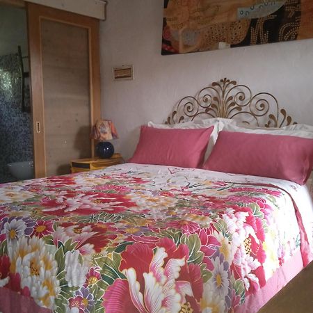 Poggio Del Sole Bed & Breakfast บัสซาโน เดล กรัปปา ภายนอก รูปภาพ
