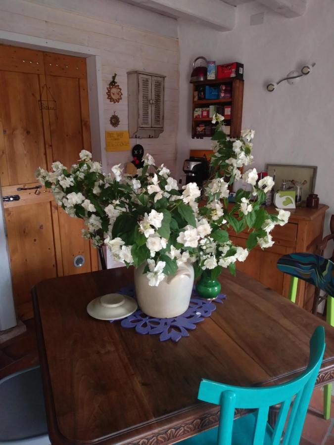 Poggio Del Sole Bed & Breakfast บัสซาโน เดล กรัปปา ภายนอก รูปภาพ